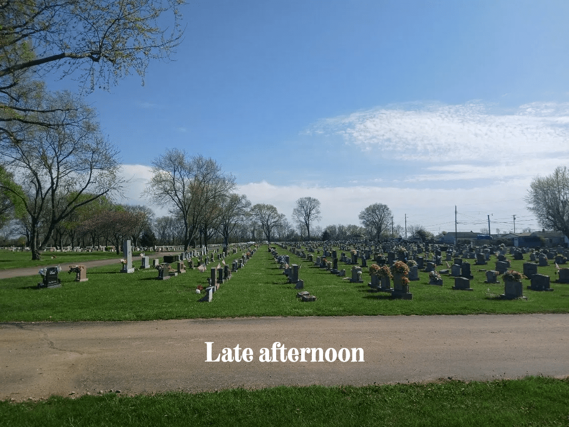 A cemetery with many graves and trees in the background.