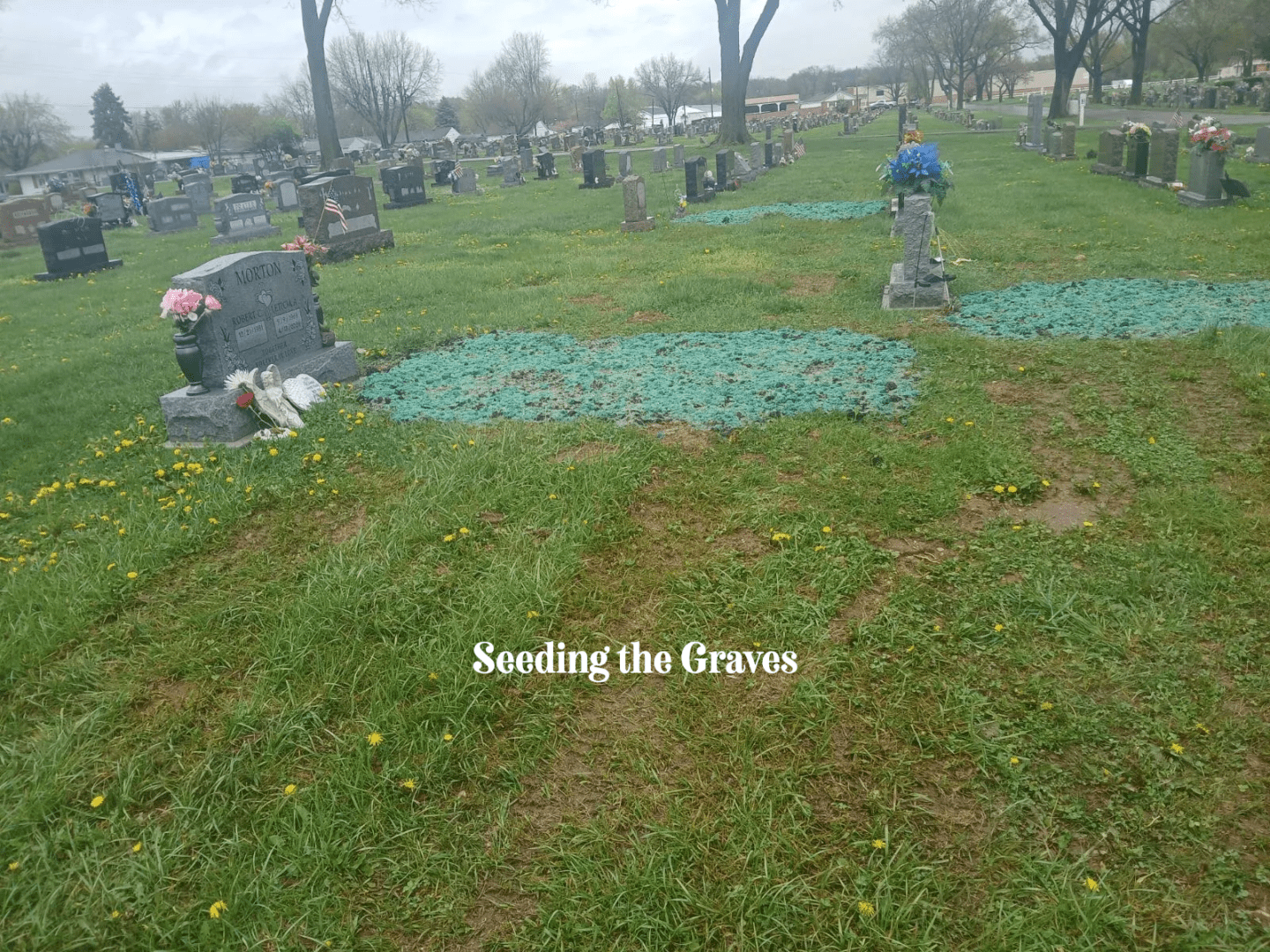 A cemetery with many graves and trees in the background.